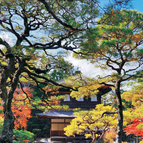 фото товара Настінний обігрівач (400Вт, 100х57см, Японський сад/сад Кіото)