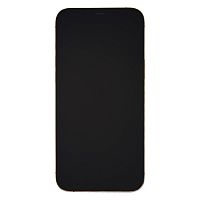 фото товару Apple iPhone 12 Pro Max 256 GB Gold