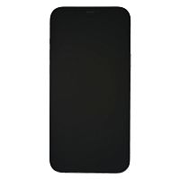 фото товару Apple iPhone 12 Pro Max 256 GB Pacific Blue