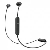 фото товара Навушники Sony (Bluetooth) WI-C300 Black