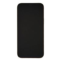 фото товару Apple iPhone 12 Pro Max 256 GB Gold