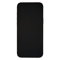фото товару Apple iPhone 16 Pro Max 256 GB Desert Titanium