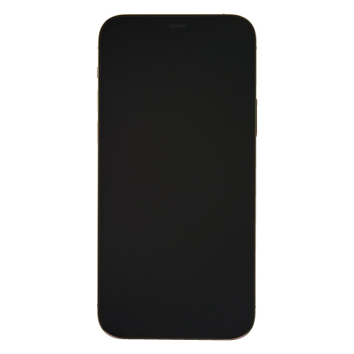 фото товару Apple iPhone 12 Pro 256 GB Gold