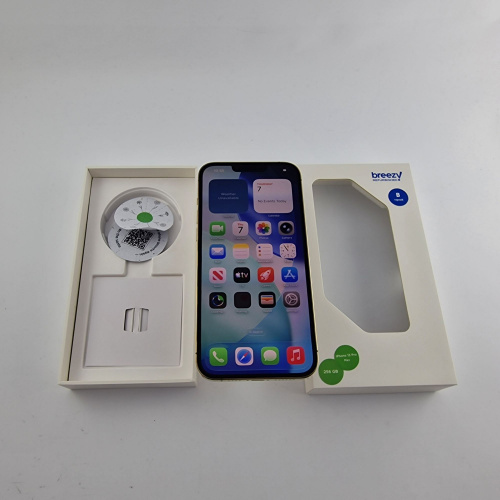 Apple iPhone 13 Pro Max 256 GB Gold фото товару Apple iPhone 13 Pro Max 256 GB Gold