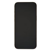 фото товару Apple iPhone 16 Pro Max eSIM 256 GB Desert Titanium