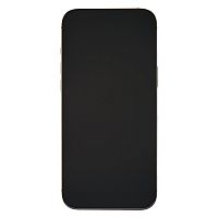 фото товару Apple iPhone 16 Pro Max 256 GB Desert Titanium