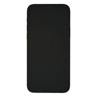 фото товару Apple iPhone 12 Pro 256 GB Graphite