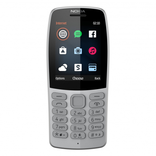 фото товара Nokia 210 DS Gray