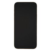 фото товару Apple iPhone 12 Pro 256 GB Gold
