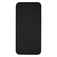 фото товару Apple iPhone 12 Pro Max 128 GB Gold